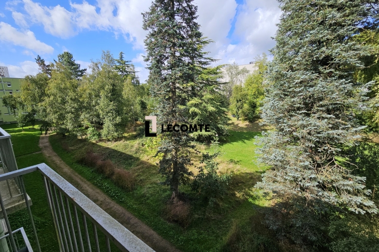 Appartement T4 en vente à Rennes (VA1945-CABINETLECOMTE35) - Photo 8