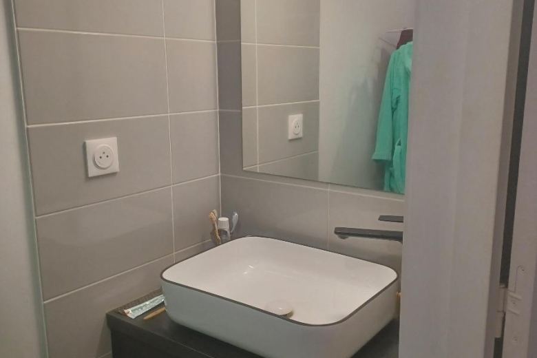 Appartement T2 en location à RENNES (GES05090002-610) - Photo 5