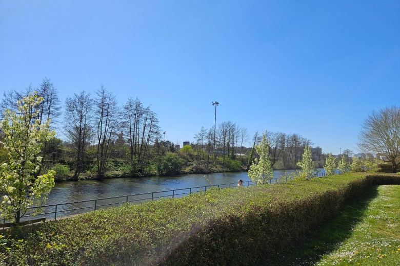 Studio en vente à RENNES (T7949) - Photo 2